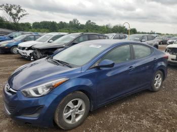  Salvage Hyundai ELANTRA