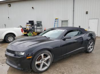  Salvage Chevrolet Camaro