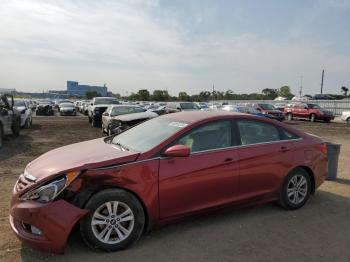  Salvage Hyundai SONATA