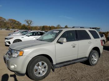  Salvage Ford Escape