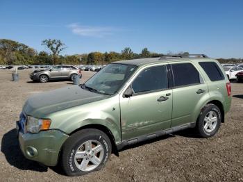  Salvage Ford Escape