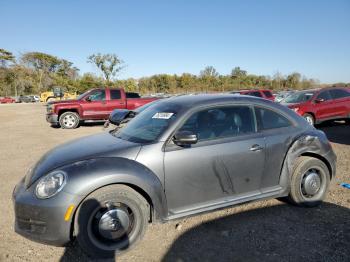  Salvage Volkswagen Beetle