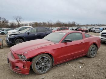  Salvage Ford Mustang