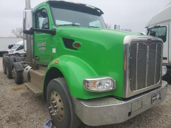  Salvage Peterbilt 567