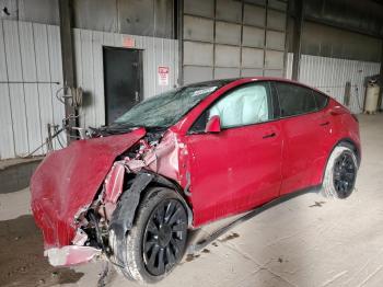  Salvage Tesla Model Y