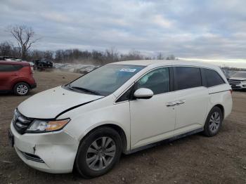  Salvage Honda Odyssey