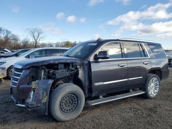  Salvage Cadillac Escalade