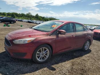  Salvage Ford Focus