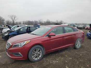  Salvage Hyundai SONATA