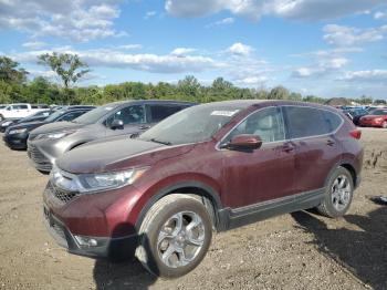  Salvage Honda Crv