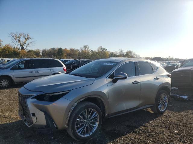  Salvage Lexus NX