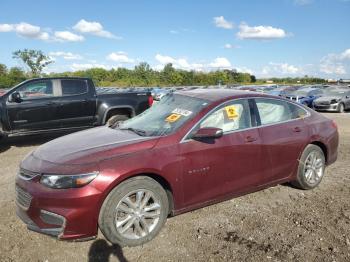  Salvage Chevrolet Malibu