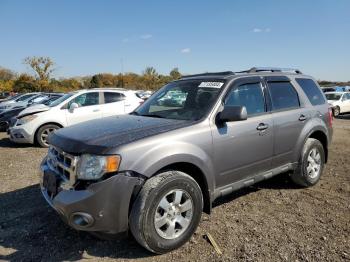  Salvage Ford Escape