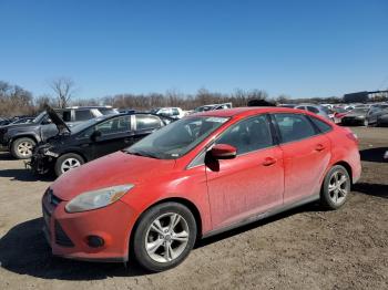  Salvage Ford Focus