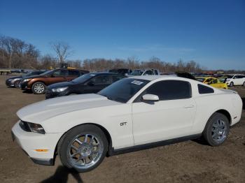  Salvage Ford Mustang