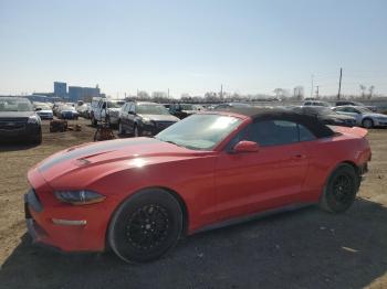  Salvage Ford Mustang