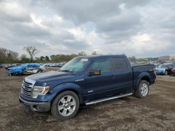  Salvage Ford F-150
