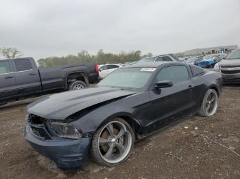  Salvage Ford Mustang