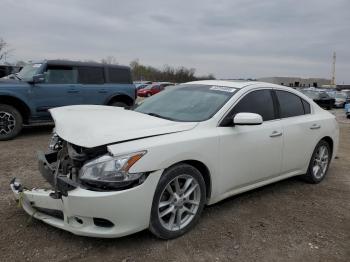  Salvage Nissan Maxima