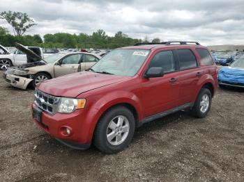  Salvage Ford Escape