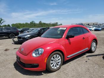  Salvage Volkswagen Beetle