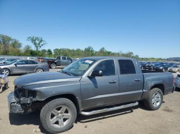  Salvage Dodge Dakota