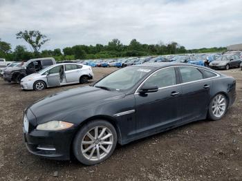  Salvage Jaguar XJ