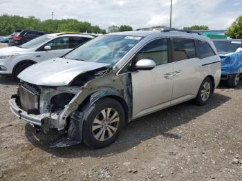  Salvage Honda Odyssey