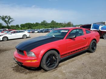 Salvage Ford Mustang