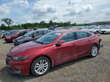  Salvage Chevrolet Malibu