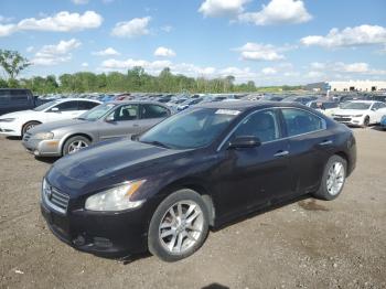  Salvage Nissan Maxima