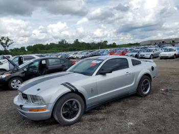  Salvage Ford Mustang