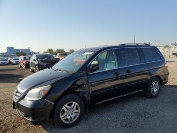  Salvage Honda Odyssey