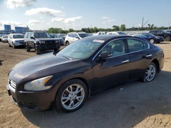  Salvage Nissan Maxima