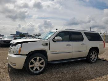  Salvage Cadillac Escalade