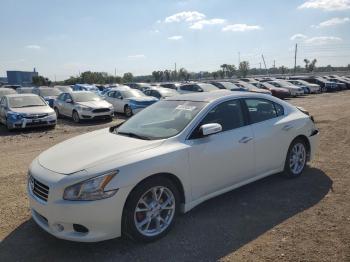  Salvage Nissan Maxima