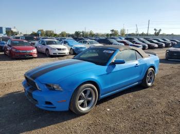  Salvage Ford Mustang