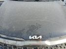 Kia Sportage X Line Image 12