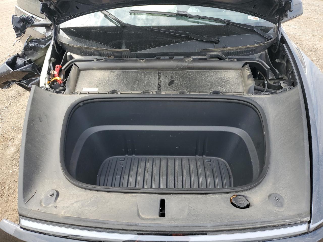 Tesla Model Y Image 9