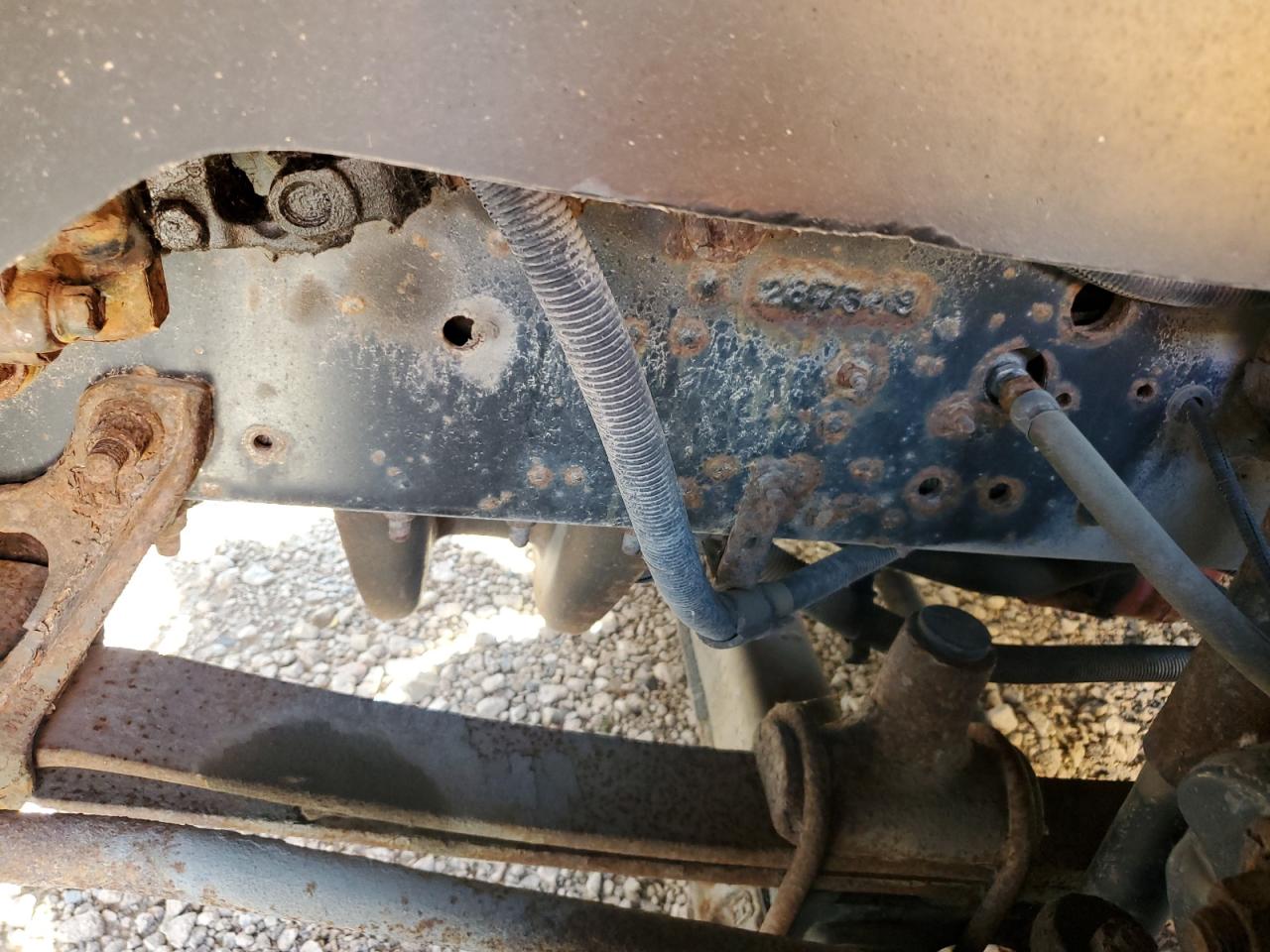 Blue Bird School Bus Image 7