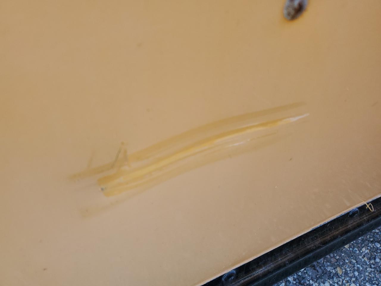 Blue Bird School Bus Image 9