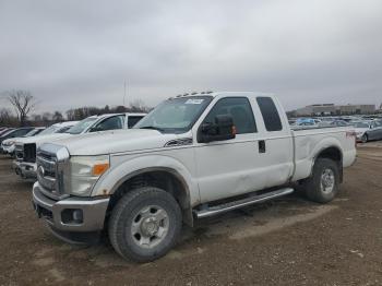  Salvage Ford F-250