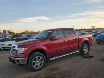  Salvage Ford F-150
