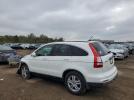 Honda Crv Exl Image 7