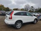 Honda Crv Exl Image 3