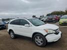 Honda Crv Exl Image 13