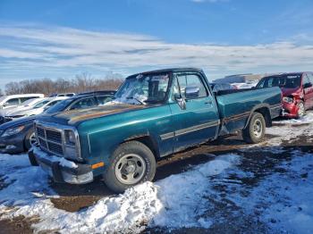  Salvage Dodge D Series