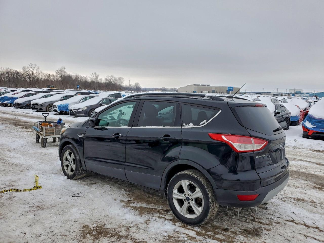 Ford Escape Se Image 4