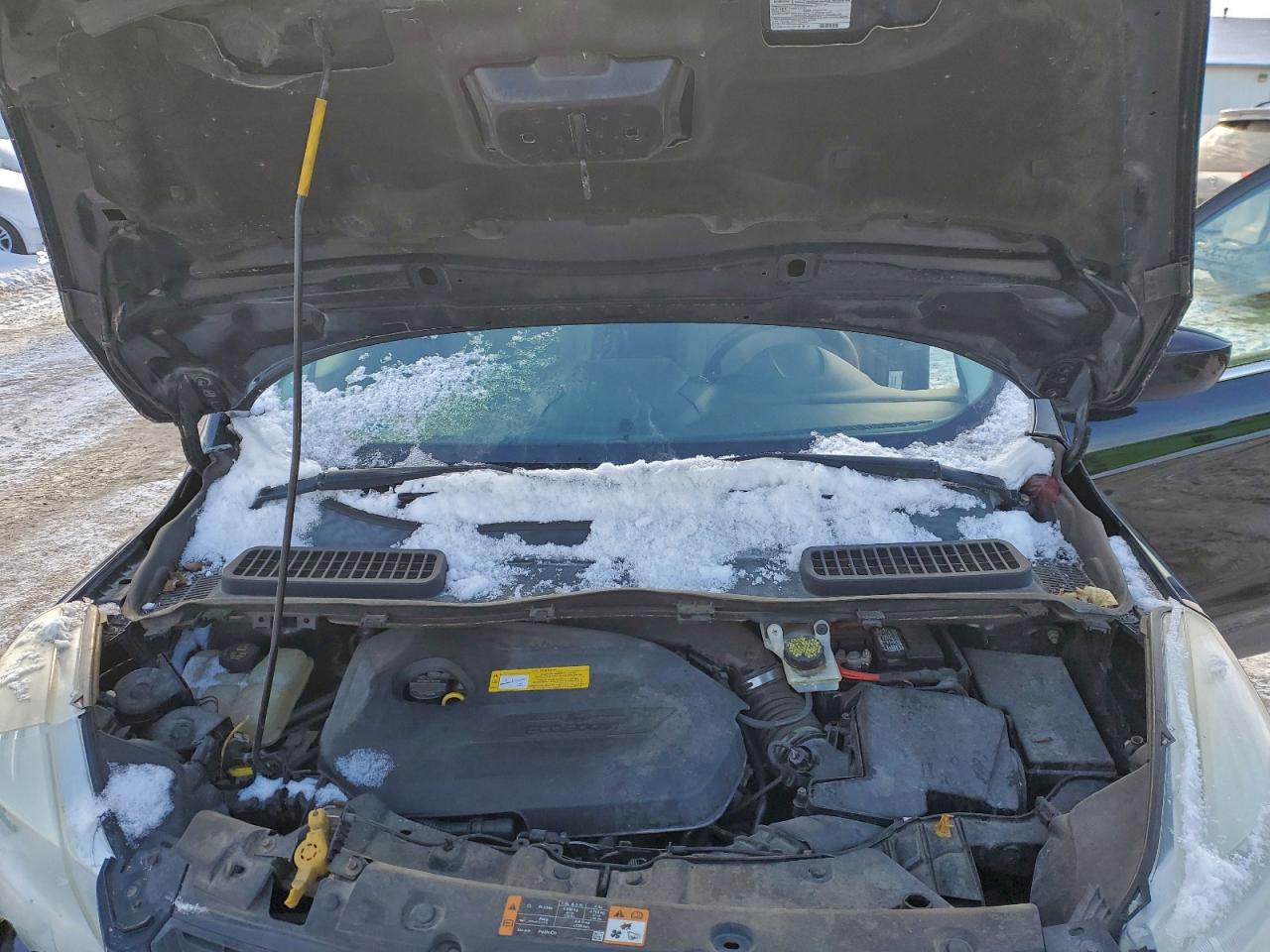 Ford Escape Se Image 7