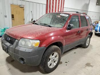  Salvage Ford Escape